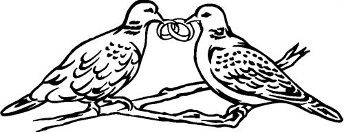 doves14-with-rings