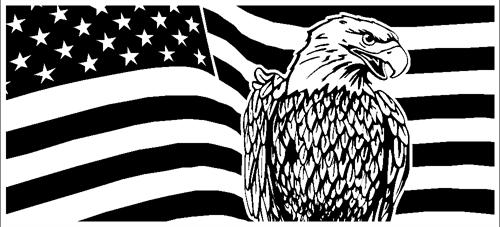 eagle-with-flag