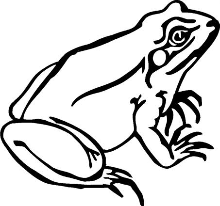 frog-on-lily-pad01mod