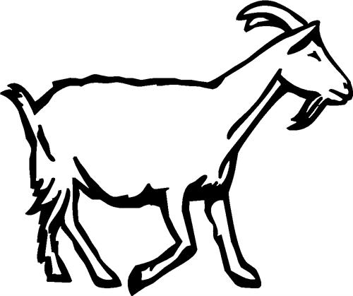 goat03