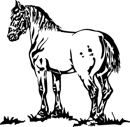 horse06