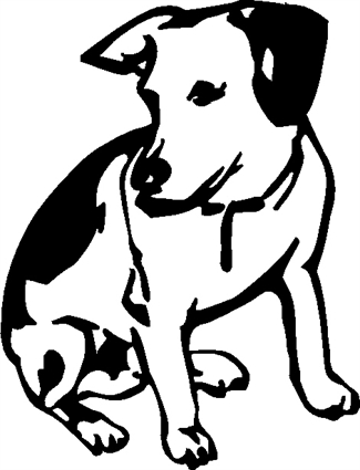 jack-russell01