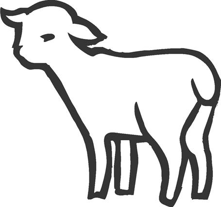 lamb20