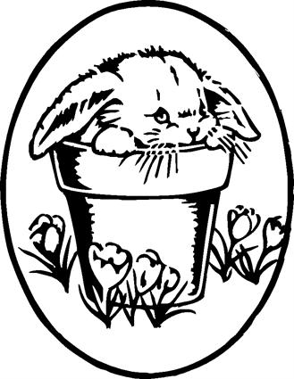 bunny03-in-pot