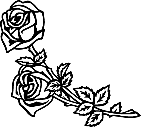 roses320