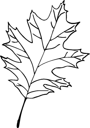 oak-leaf