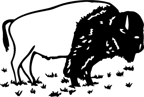 bison04