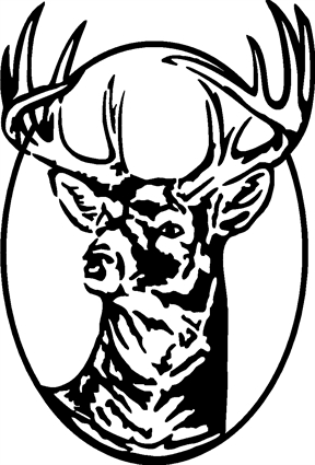 buck-deer