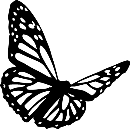 butterfly39