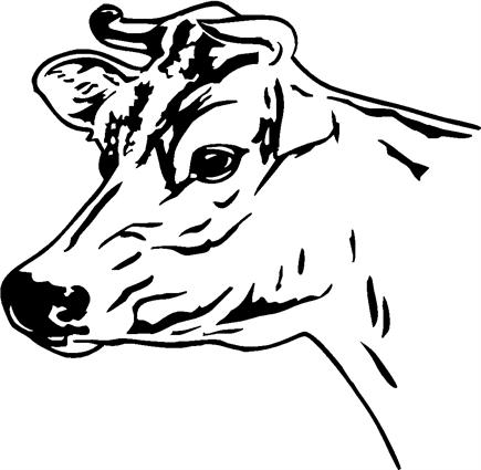 cows08