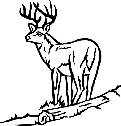 deer02