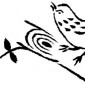 bird-on-branch-06